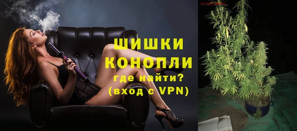 стаф Вяземский
