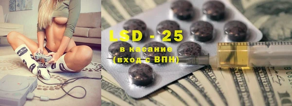 стаф Вяземский