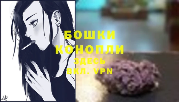 МДПВ Вязьма