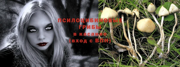 apvp Волосово