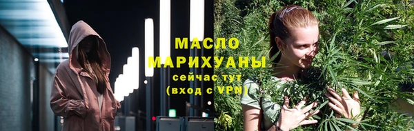 стаф Вяземский