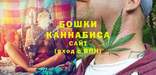 стаф Вяземский