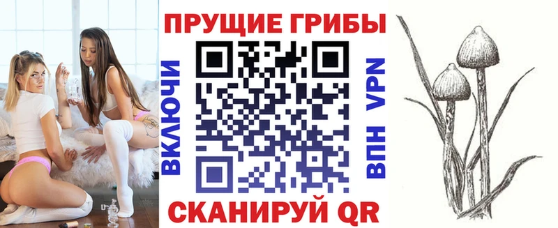 где продают наркотики  Тула  Псилоцибиновые грибы прущие грибы 