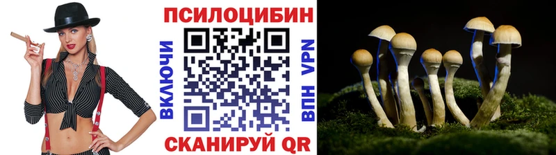 Псилоцибиновые грибы Psilocybe Тула